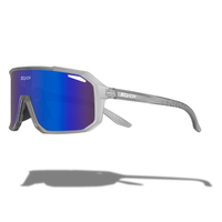 Frost Grau / Blau Mirror