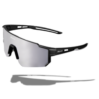 Schwarz / Silber