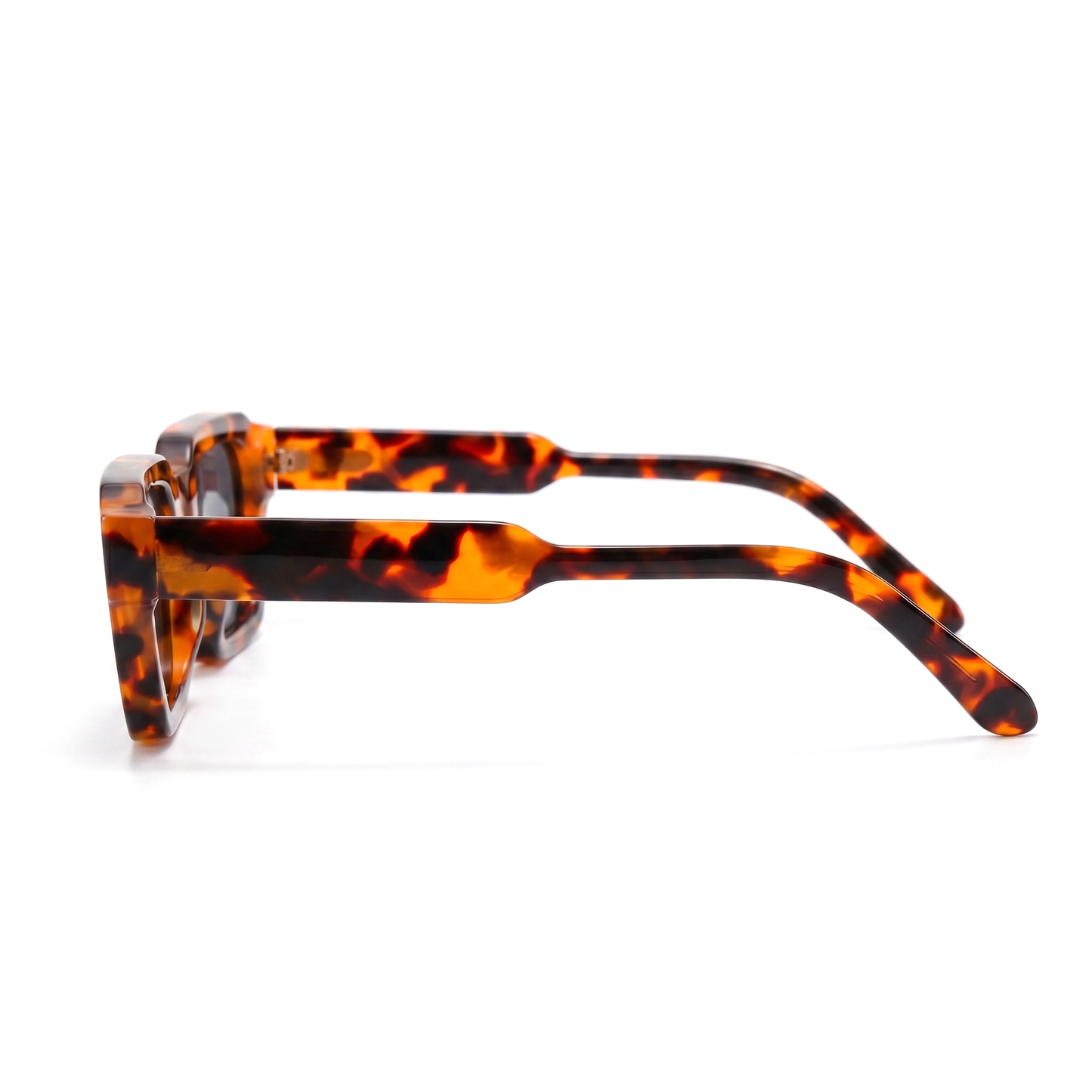 Silhouette Tortoise seitlich