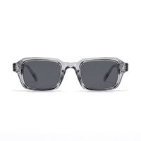 Transparent Grau / Schwarz